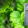 Samsung Top Mount Refrigerator With 5 in 1 Convertible Mode And Twin Cooling, Model-RT47K6231S8/D3 I 465L - Image 8